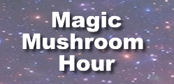 Magic Mushroom Hour